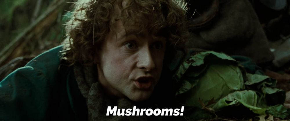  Mushrooms