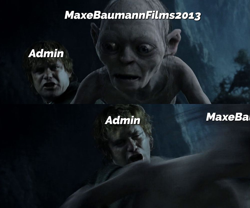  MaxeBaumannFilms2013